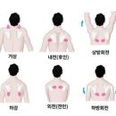 해온마취통증의학과의원 이미지