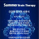 써니브레인