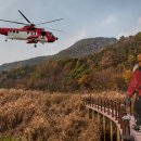 무릉도원면-50 이미지