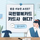 국민행복카드 임신하면 받을 수 있는 바우처 카드사는 어디가 좋을까?