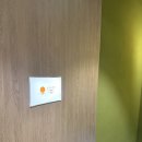 카츠모리조 | 전주 카츠모리조 • 주말 오픈런 후기 • 웨이팅 꿀팁 • 내돈내산 후기