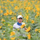 신안 천사섬에서 맨드라미 축제현장~~~^♡^ 이미지