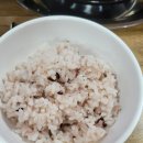 배불뚜기 | 숯불향 가득한 석쇠불고기 맛집 장유아울렛맛집 배불뚜기 후기