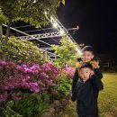 숲속의 펜션 이미지