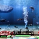 �� 342 이미지