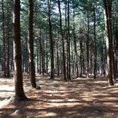 (주)알파인 이미지