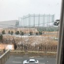 대구생막창구이 이미지