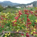 탄금호순환자전거길 9 이미지