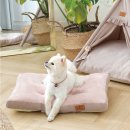 토토애견 이미지