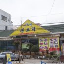 아우성 생오리 이미지