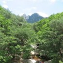 디딤이닥터 | 북한산에 파랑새는 있다