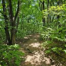 광교산 체육공원 | [광교산 시루봉 최단거리 코스] 광교산 체육공원 출발, 등산 왕초보 후기 (주차 가능)