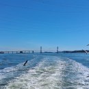 영흥민박 이미지