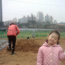 민솔3농장 이미지