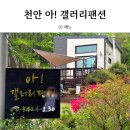 아갤러리