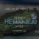 포유항공여행사주 | 제주도 5박 6일 가족 여행 11개월 아기 티웨이항공 김포공항 출발 마미포유
