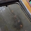 (주)아크 | 24시 헬스&amp;PT 아크짐 신중동점 워크샵 나들이