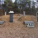 기응세선생묘 이미지