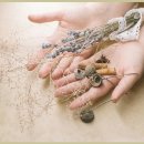 강남세종한방병원 이미지