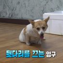 기립농장 이미지