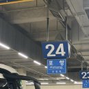 루루 | 포항 죽도시장 과메기 내돈내산 청학수산 루루과메기 포장 후기