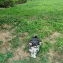 하얀그림정원 풀빌라 이미지