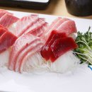 필참치 이미지