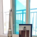 몽글몽글PET 이미지