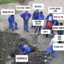 배부른고양이 | 가을은 못참아🌝 게으르고 배부른 내 일상🍁(25.10-11)