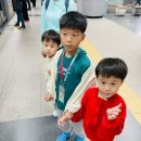 가온트래블 | 치앙마이 아이랑 여행, 에어부산, 2터미널 마티나라운지, 숙소