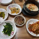 원조재래식할머니순두부 | [내돈내산] 속초맛집 원조재래식할머니순두부 솔직후기