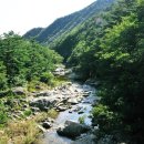 백연계곡 | 여름엔 역시 계곡! 2025 전국 인기 계곡 TOP 6 + 주변 정보까지
