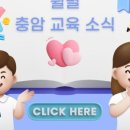 충암초등학교