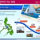 앤디여행사