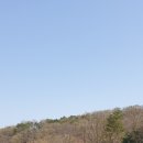 지우통상 이미지