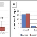 Comparison of surgical and conservative treatment of HNPE 이미지