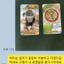 안녕,하리! 티스토리