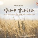 사임당로12길 11 이미지