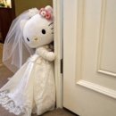 호텔하루 | 대구 수성호텔 연계 드레스샵 하루에 다돌 예정 / 예약후기