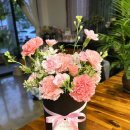 꽃집초이 이미지