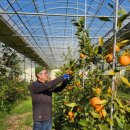 (주)영동건설 이미지