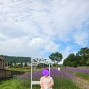 버들목장 이미지