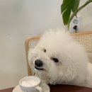 메이킷카페