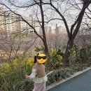 밸류포즈파트너스(주) | [도곡동 나들이] 매드포갈릭 밸류패키지, 양재천 산책, SSG 도곡점 장보기