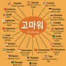 감사함을 담은말 번역 (고마워. 진심으로 감사합니다. 덕분입니다. 늘 고맙게 생각해.