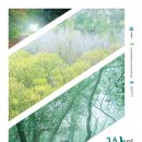 모양성로 이미지