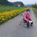 금국농장 이미지