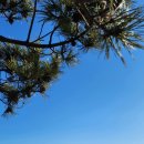 동해파도소리 이미지