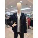 크로커다일레이디 이미지