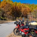 펜션하바별시 이미지